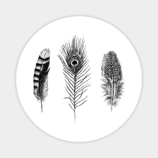 Feathers Print Magnet